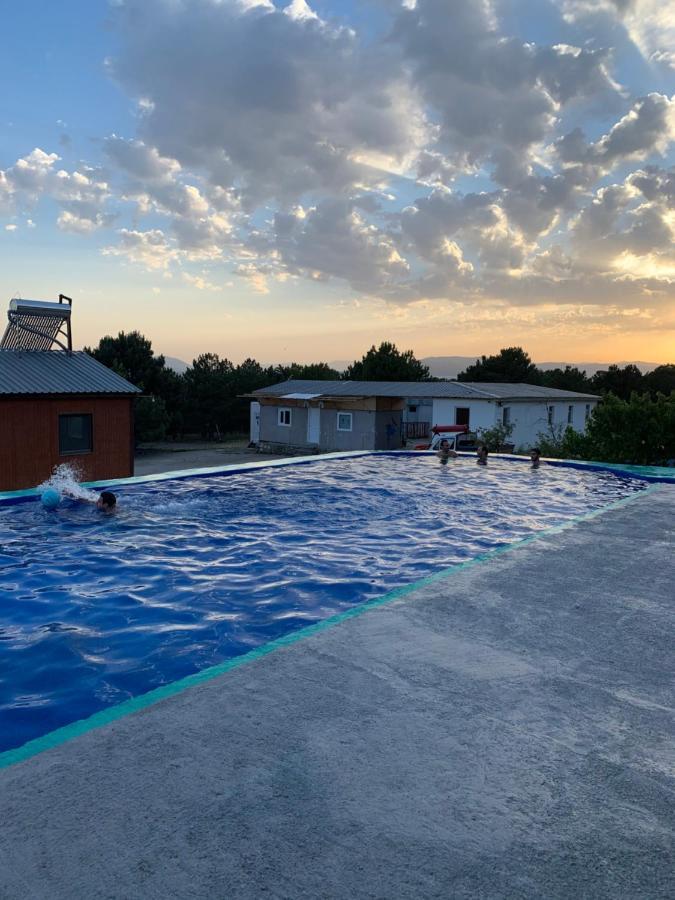 Zhayr Resort & Dive Drakhtik מראה חיצוני תמונה